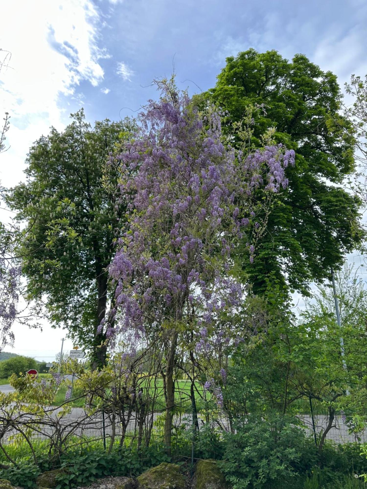 Ferienwohnung Riviere Et Jardin A Vos Pieds Pulligny Exterior foto